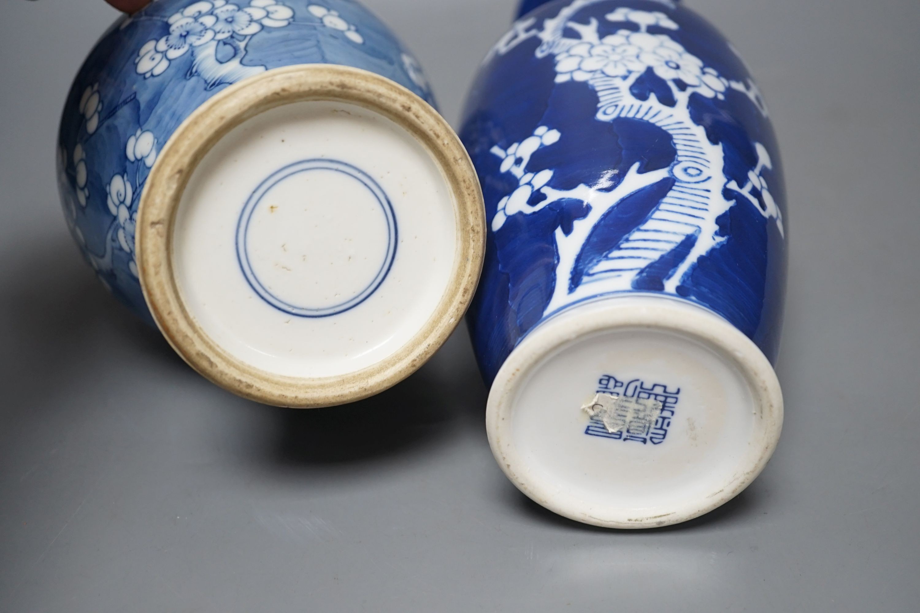 Two Chinese blue and white prunus vases, tallest 28cms high.